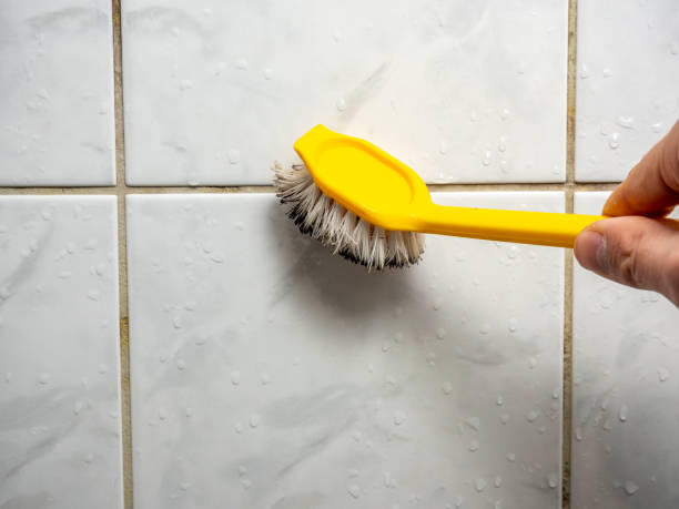 Best Post-Flood Mold Remediation in Lacon, IL