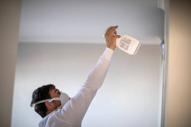 Best Attic Mold Remediation in Lacon, IL