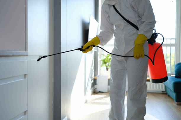 Best DIY Mold Remediation Support Services in Lacon, IL