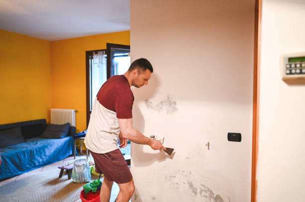 Best Commercial Mold Remediation in Lacon, IL